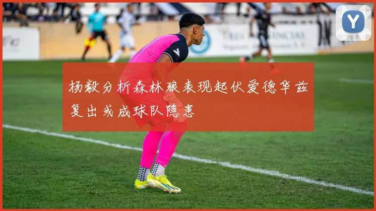 杨毅分析森林狼表现起伏爱德华兹复出或成球队隐患